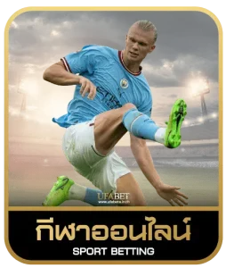 panda555 bet เดิมพันกีฬา